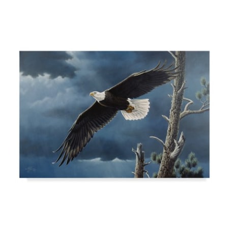 Wilhelm Goebel 'Soaring Wings' Canvas Art,30x47